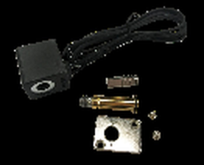 Solenoid valve with coil and lead