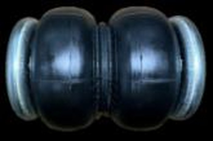 Double-bellow air bag photo