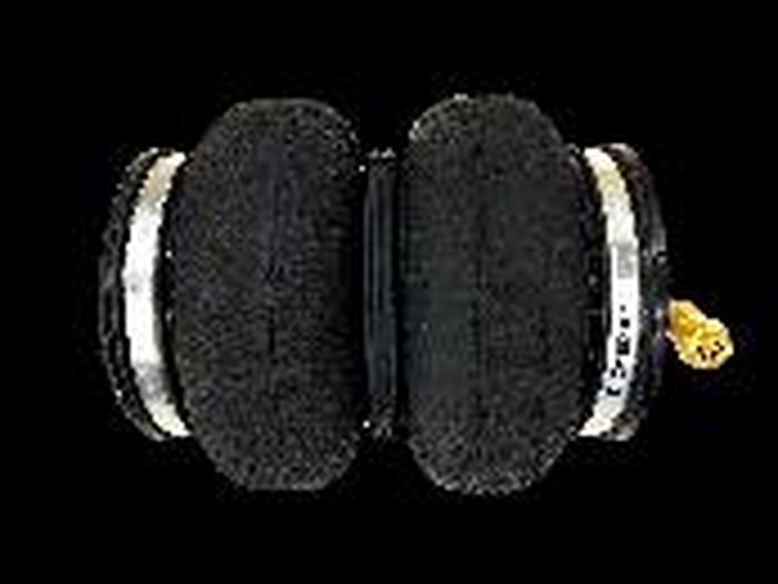 Double-bellow air bag photo